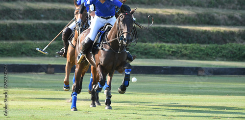 horse speed in polo match.