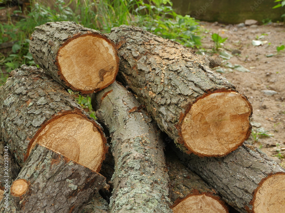 pile of sawed firewood black alder close to pile of sawed firewood black alder close to