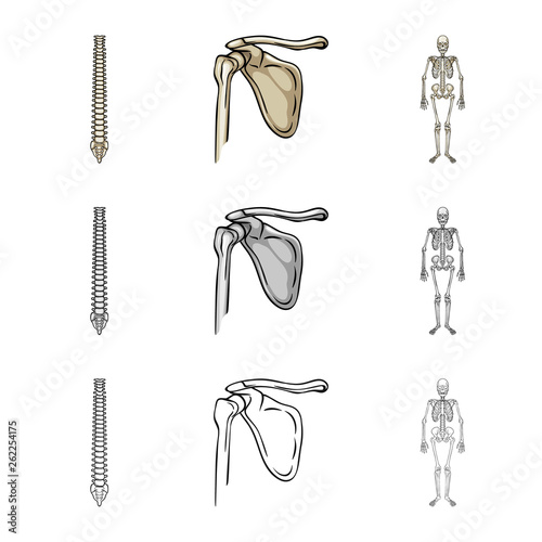 Vector design of medicine and clinic icon. Collection of medicine and medical vector icon for stock.