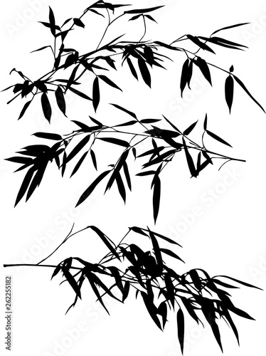 three black bamboo lush branches set illustration