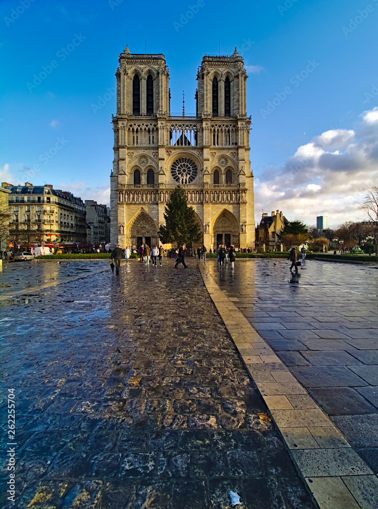 custom made wallpaper toronto digitalNotre Dame de Paris cathedral, France. Winter blue sky with some clouds. Front view, great perspective.