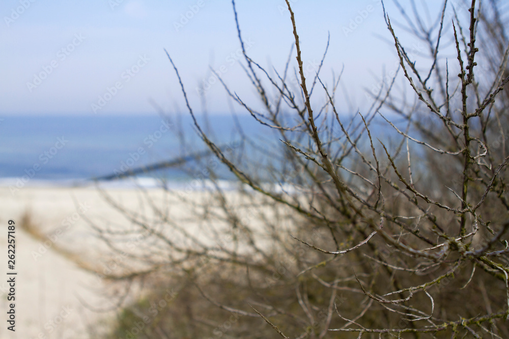 Ostsee, 