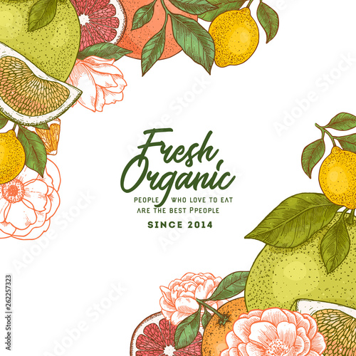 Citrus and flowers frame design template. Engraved style illustration. Orange, flowers, lemon, tangerine, grapefruit, peonies, roses. Vector illustration