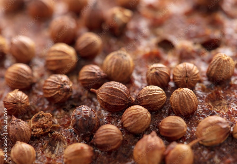 Sesame rye bread as a background Sesame rye bread as a background