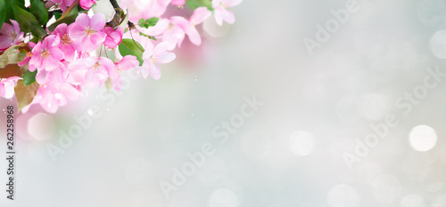 Spring tree flowers © neirfy