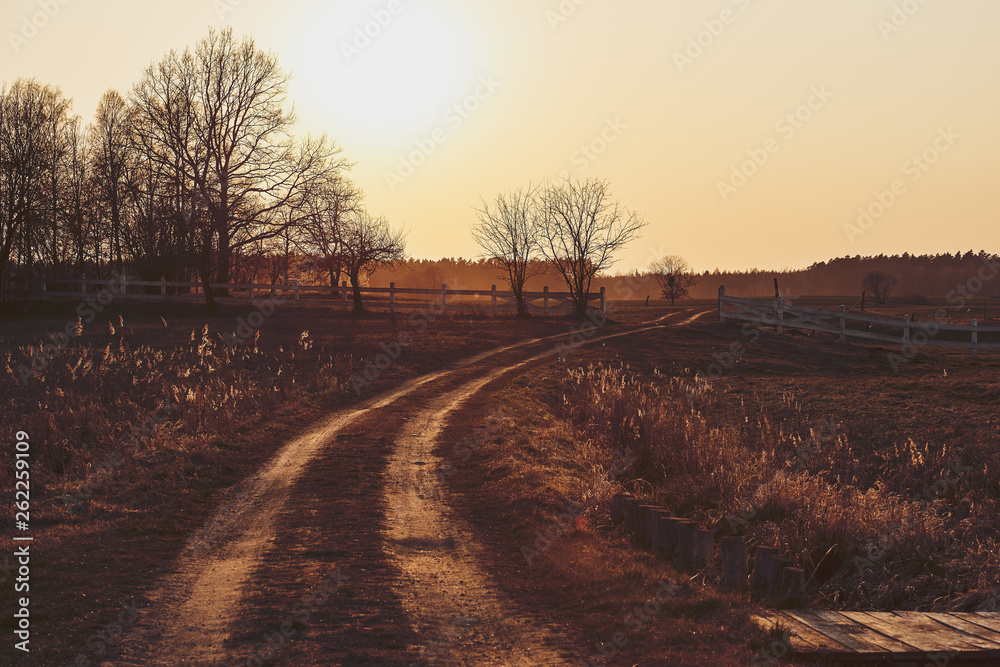 Fototapeta premium Road at sunset