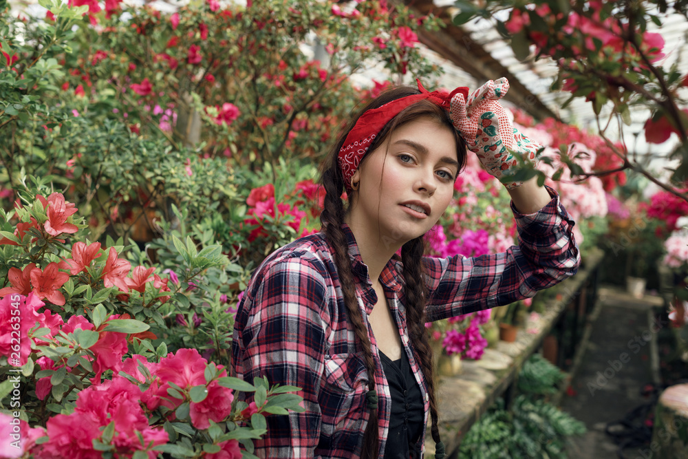 Beautiful young woman gardener with pigtails and red headband resting after hard work with spring flowers in greenhouse Beautiful young woman gardener with pigtails and red headband resting after hard work with spring flowers in greenhouse