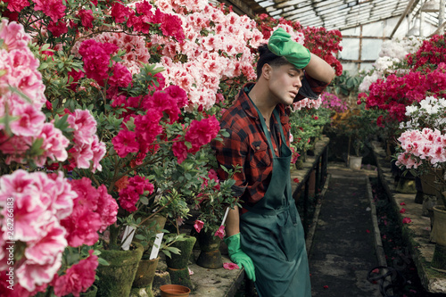 Beautiful young man gardener in green apron and garden gloves resting after hard work with spring flowers in greenhouse © Vasya