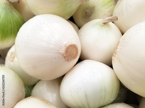 white onions on a market close up