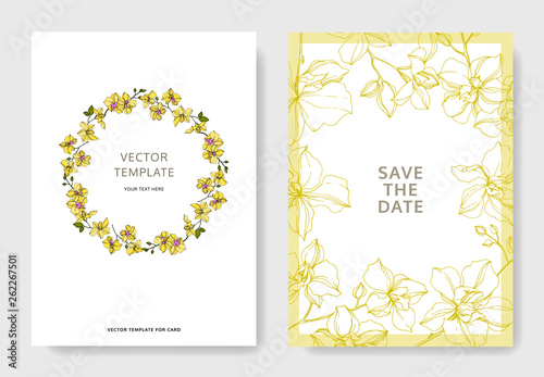 Vector Orchid floral botanical flowers. Yellow and green engraved ink art. Wedding background card decorative border.