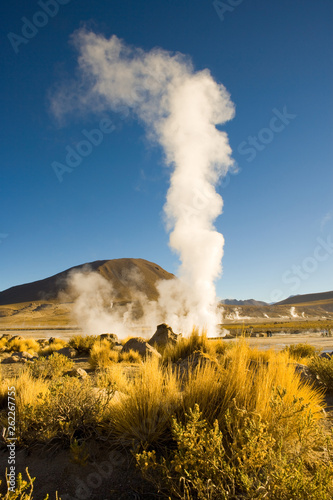 Fumaroles at El Tatio Geysers at an altitude of 4300m, Atacama desert, Antofagasta Region, Chile, South America photo