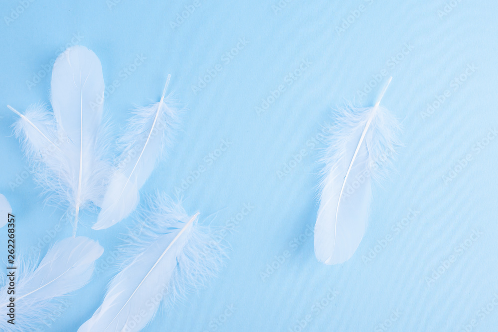 A lot of white feathers on a blue background. Light shades and selective focus. Copy space. A lot of white feathers on a blue background. Light shades and selective focus. Copy space.