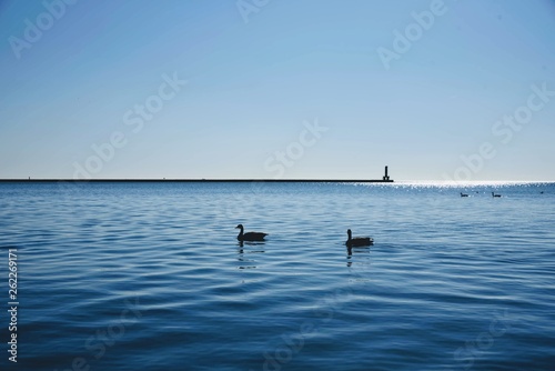 fishing in the sea