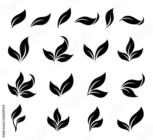 abstract isolated black leaves branches icons set