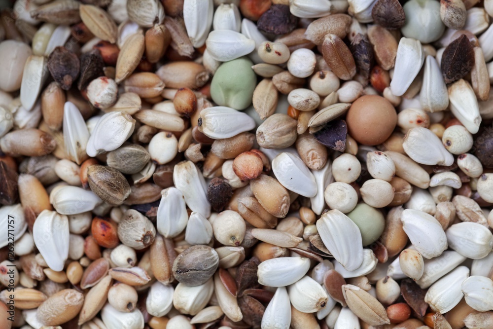 Mixture of grains and seeds Mixture of grains and seeds