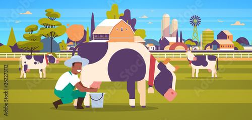 african american farmer milking cow in bucket farm domestic animal cattle fresh milk concept flat horizontal farmland barn countryside landscape full length horizontal