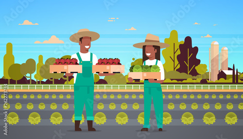 couple farmers holding boxes red green tomatoes man african american woman harvesting vegetables eco farming concept farmland field countryside landscape full length horizontal