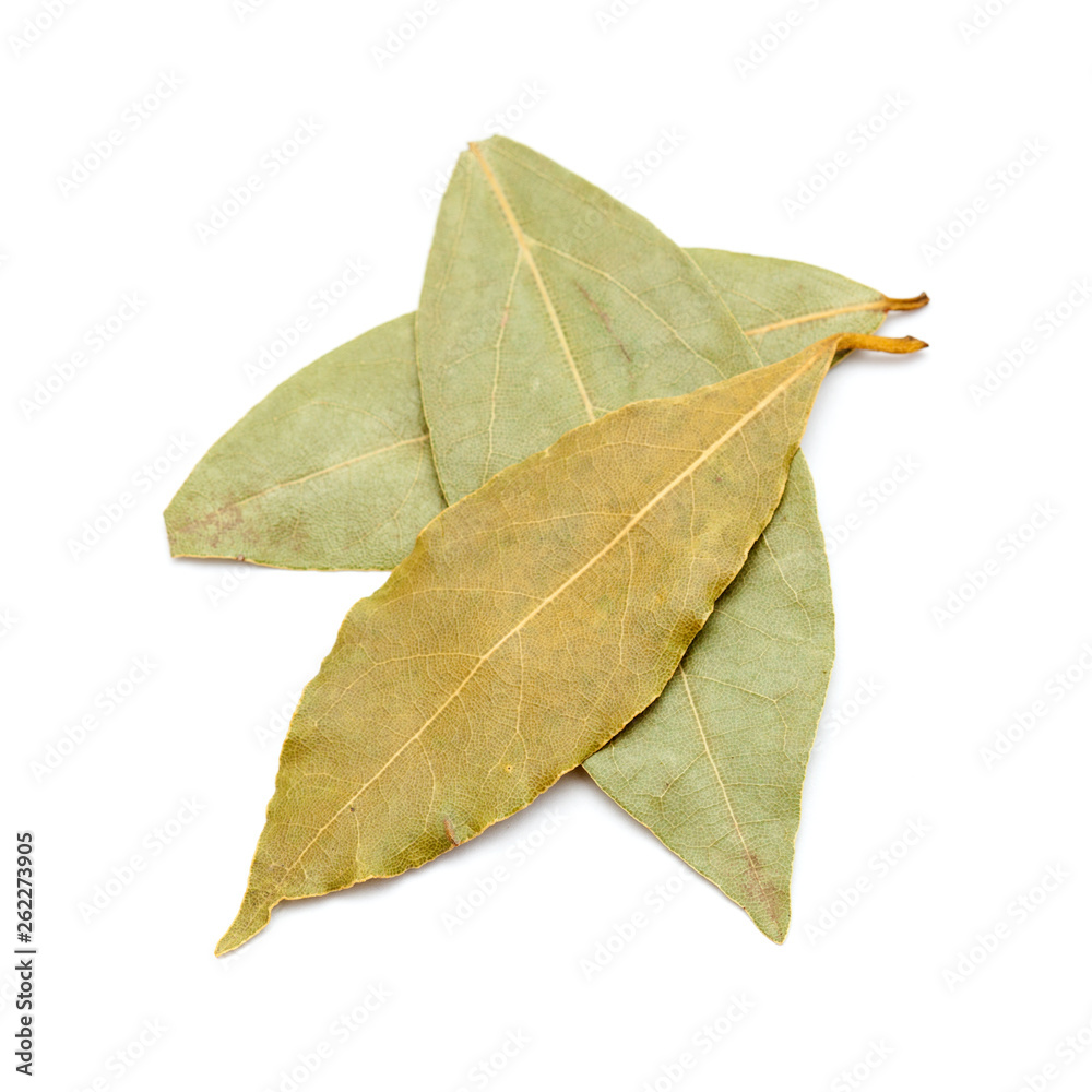 bay leaves isolated