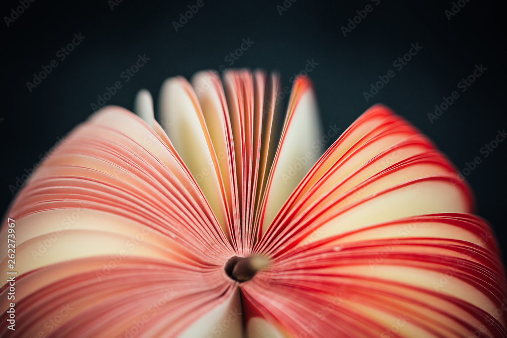 Red Apple Sticky Memo Notepad Red Apple Sticky Memo Notepad