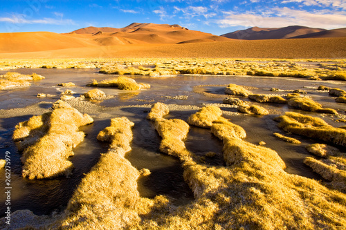 Vegas de Quepiaco salt lake and lagoon in the Altiplano (high Andean plateau) at an altitude of 4400m, Atacama desert, Chile, South America photo