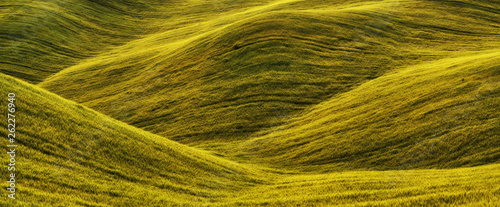 hilly field. picturesque hills. abstract spring field