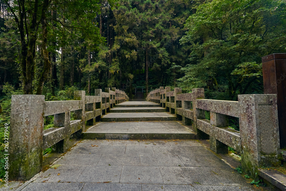 Beautiful scenics of long step cement bridge with stunning green forest in Alishan at Taiwan.