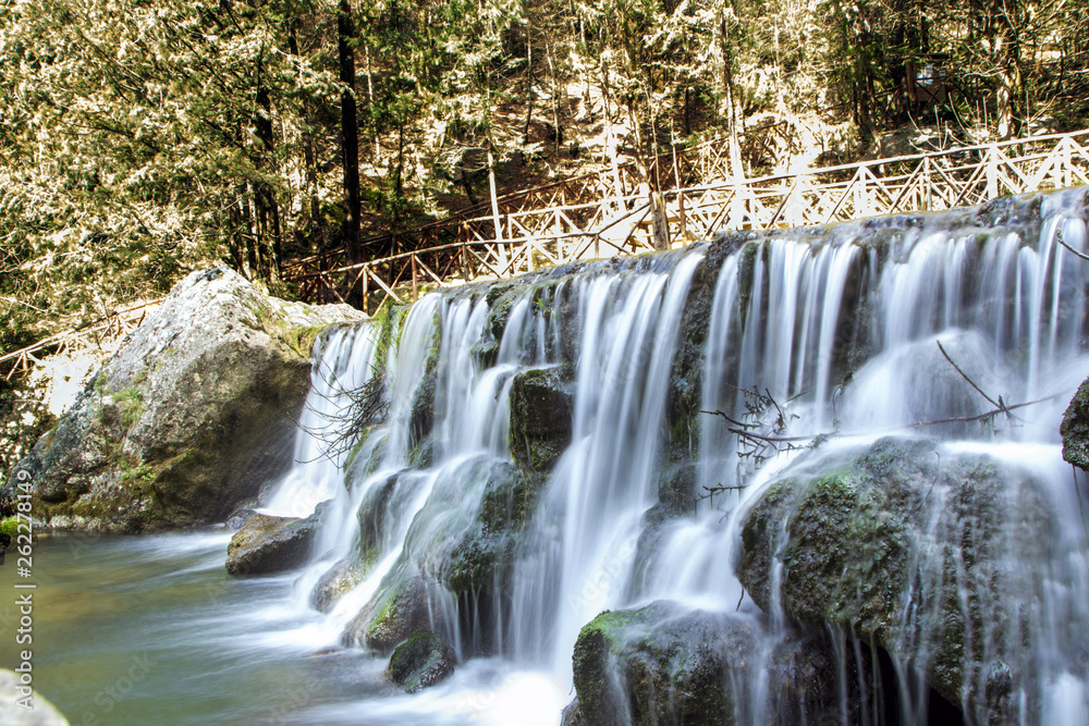 Obraz premium Fontegreca