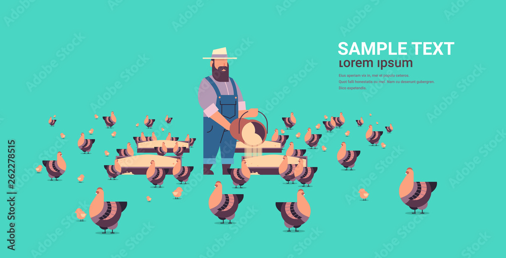 male farmer feeding chicken and rooster free range farming breeding hed for food poultry farm concept farmland flat full length horizontal copy space male farmer feeding chicken and rooster free range farming breeding hed for food poultry farm concept farmland flat full length horizontal copy space