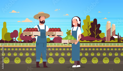 couple farmers holding boxes red and green tomatoes man woman harvesting vegetables agricultural workers eco farming concept farmland field countryside landscape full length horizontal