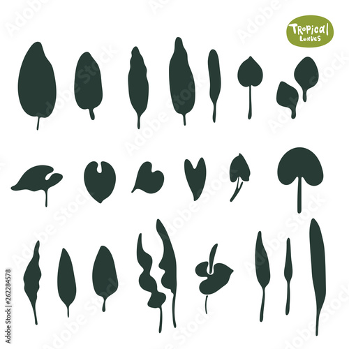 Tropical doodle leaves collection. Set of vector isolated silhouettes on white background