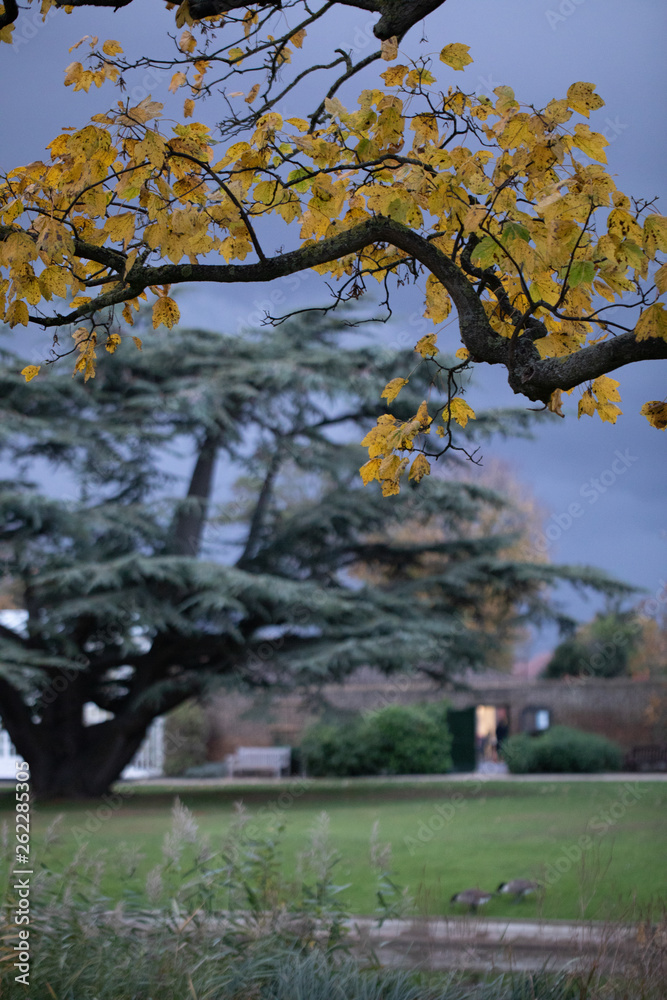 Fototapeta premium wedding