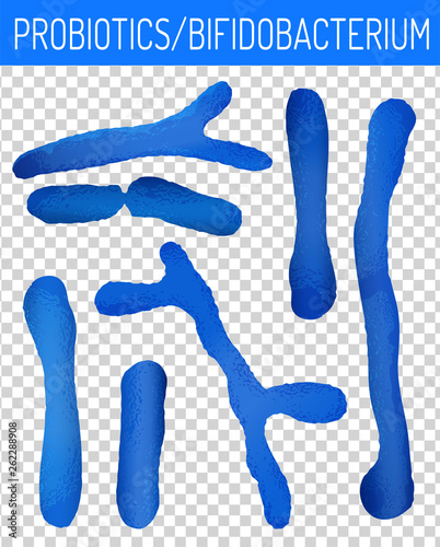 Probiotics Bifidobacterium Image