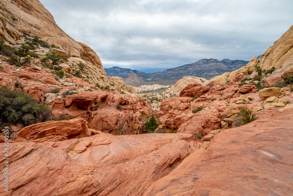 Fototapeta premium The Red Rock Canyon National Conservation Area near Las Vegas