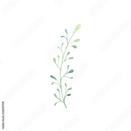 Hand drawn watercolor green twig