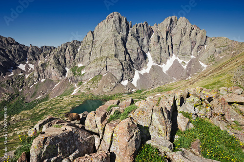 Marmot sits on rocks on a saddle of Humboldt Peak wtih Crestone Needle and Crestone Peak in distance rising above South Colony Lake, Colorado