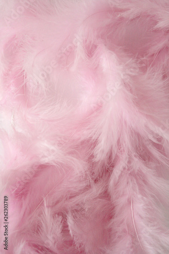 pink feathers texture