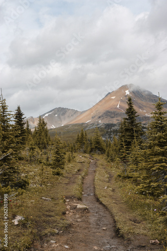 Hiking in Alberta