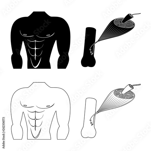 Isolated object of fiber and muscular symbol. Collection of fiber and body  stock vector illustration.