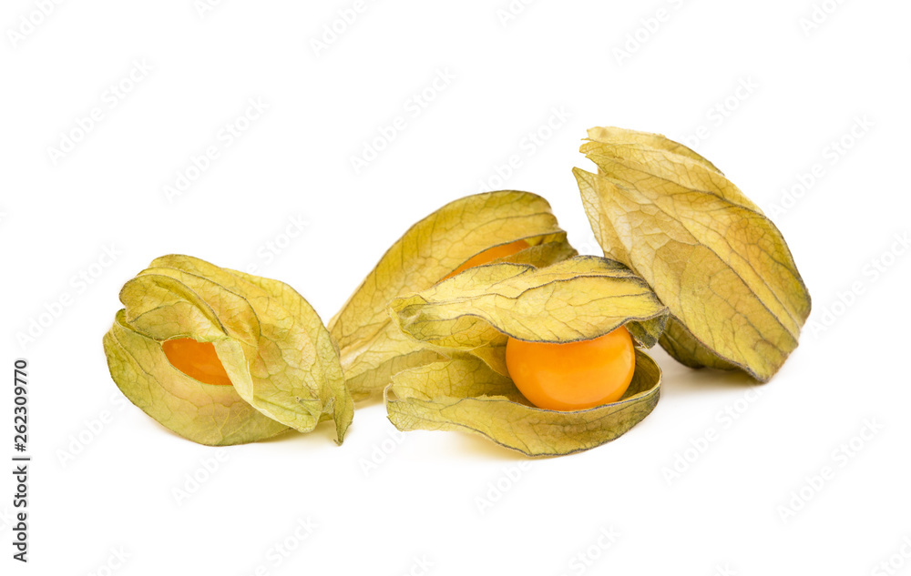Healthy Cape Gooseberry (Physalis) isolated on white background
