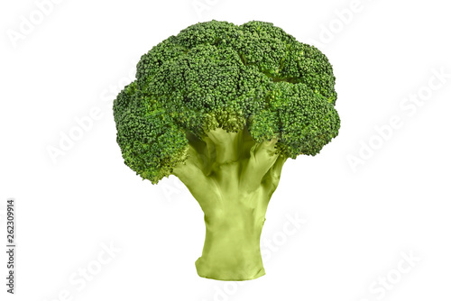 Broccoli isolated, Green fresh broccoli stem