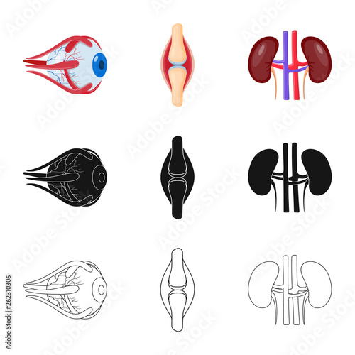 Vector illustration of biology and scientific symbol. Collection of biology and laboratory vector icon for stock.