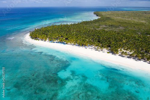 Fototapeta Naklejka Na Ścianę i Meble -  Aerial view on tropical island with palm trees and caribbean sea