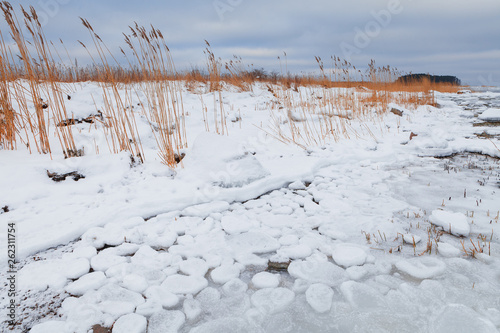 Frozen coast of Baltic sea. Kasmu peninsula, Estonia. photo