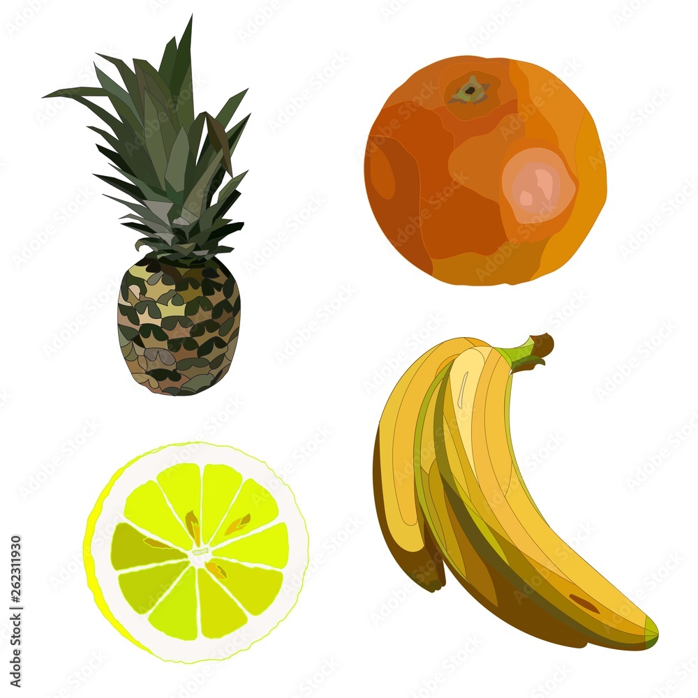 realistic lemon,orange,pinapple and bananas vector art