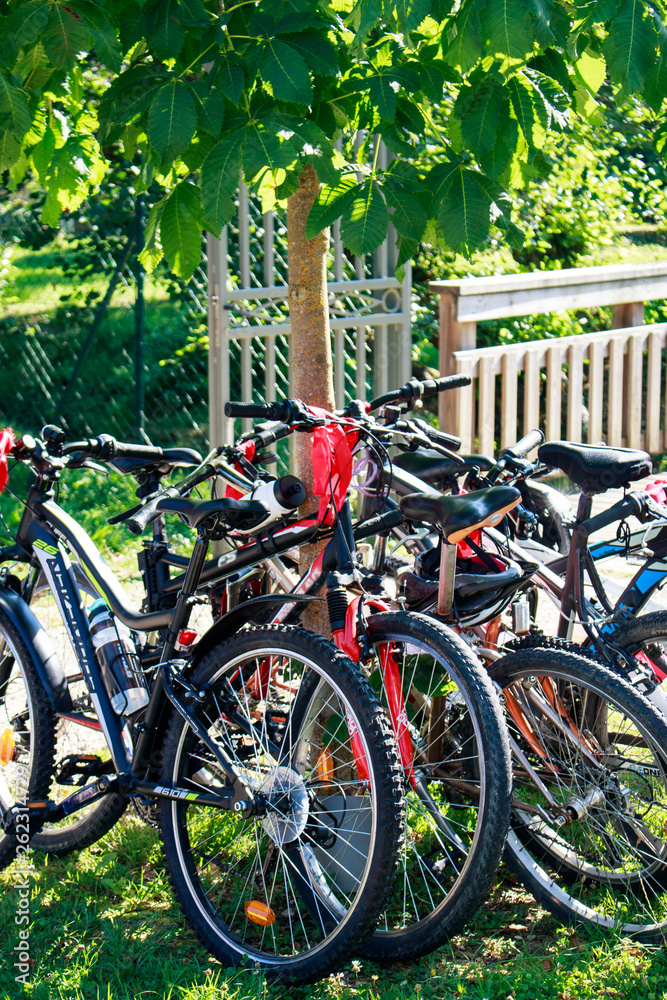 Set of mountain bikes in the park waiting for departure of the ride.  Biking sport outdoor activity.