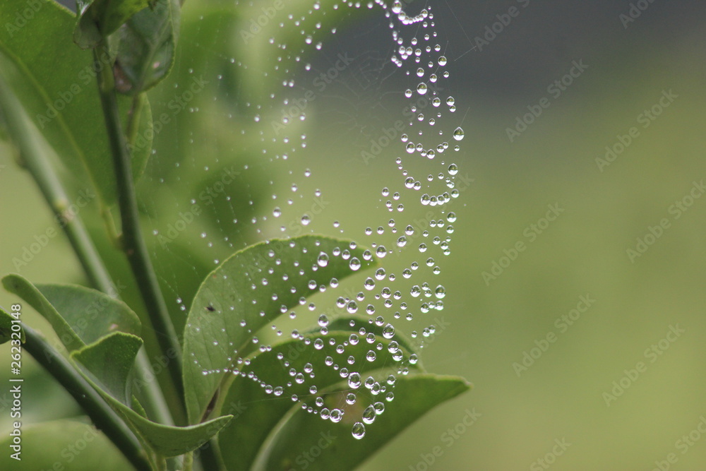 necklace with drops on spider web necklace with drops on spider web