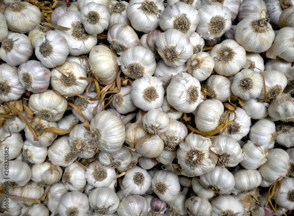 Garlic for sale in market Garlic for sale in market