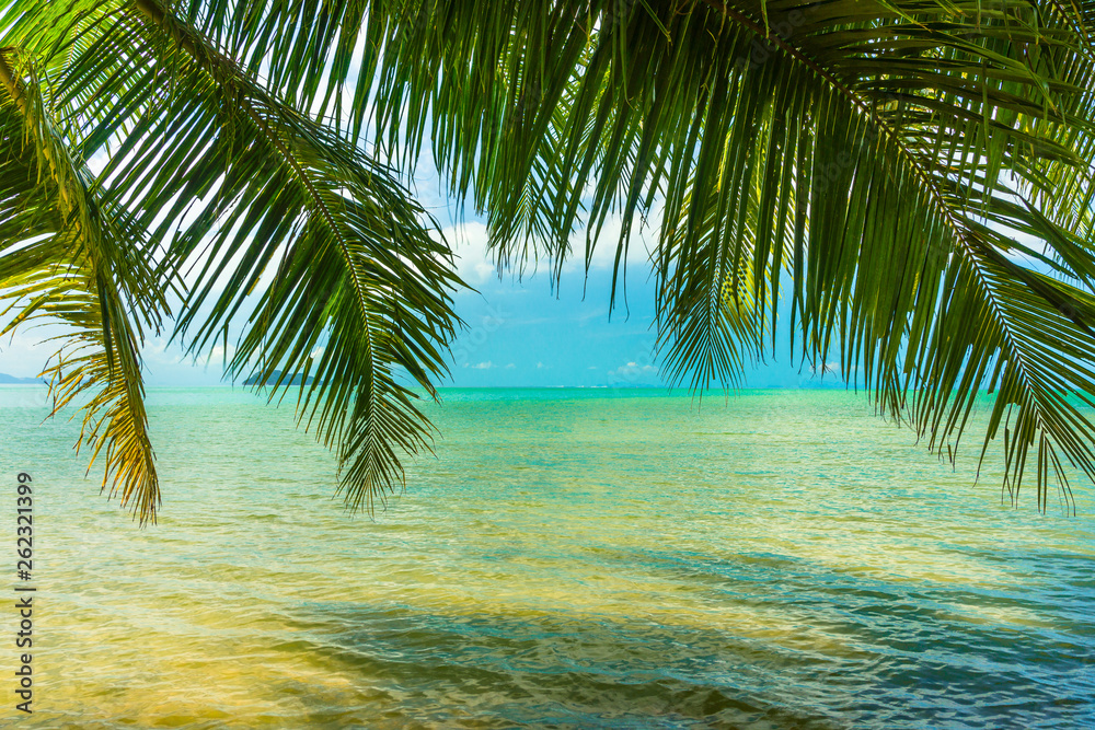 Fototapeta premium Sunny tropical beach, turquoise Thailand sea with palm trees
