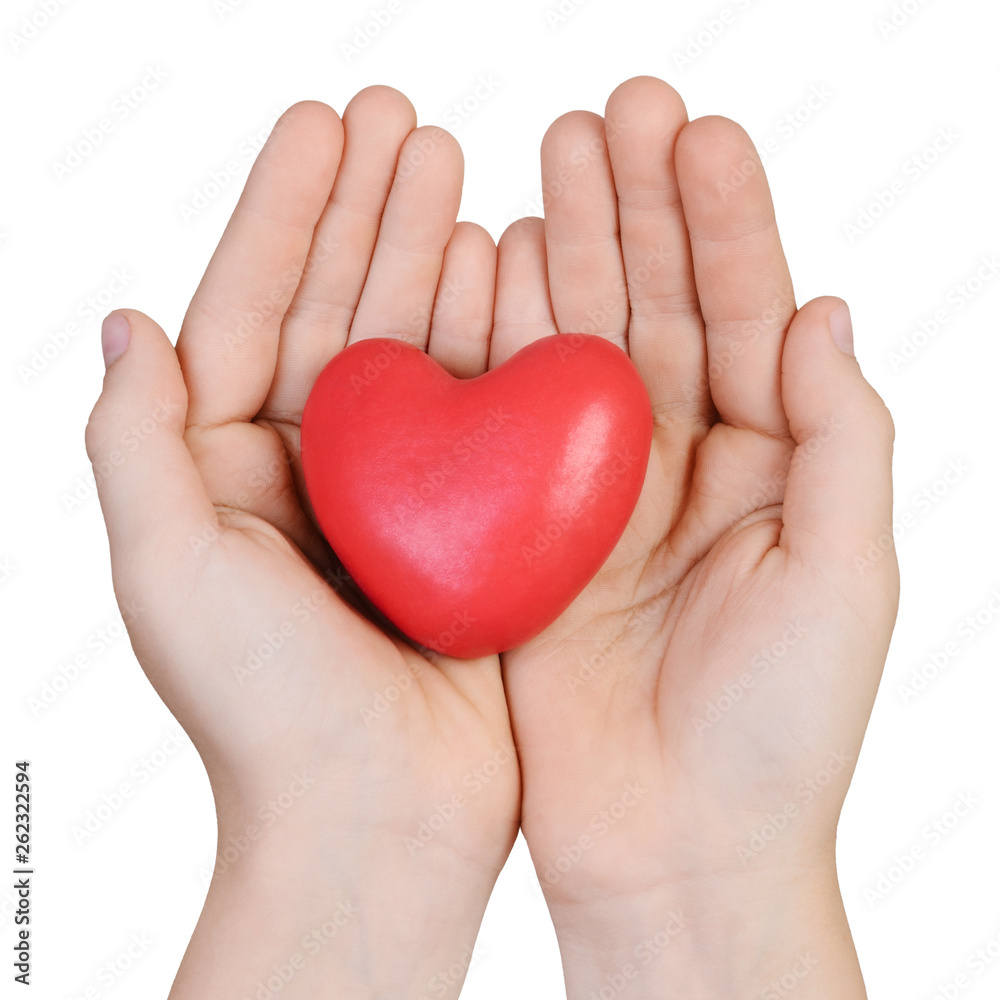 Heart in the hands of a boy, isolated on a white background. Concept of love or kindness. Heart in the hands of a boy, isolated on a white background. Concept of love or kindness.