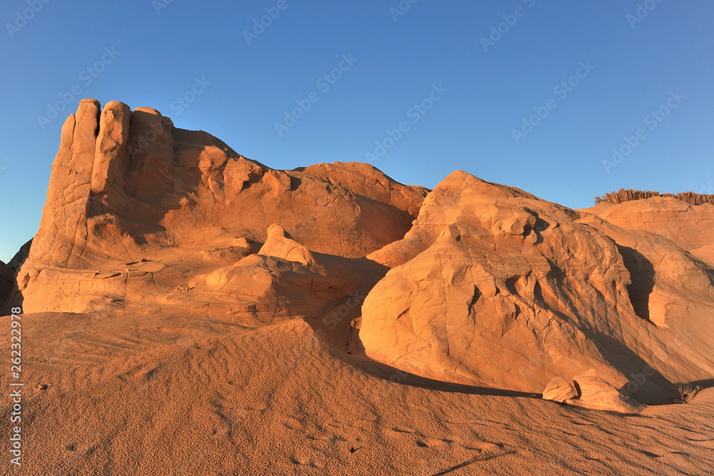 Dunes in the Sahara desert, lit by the morning sun.